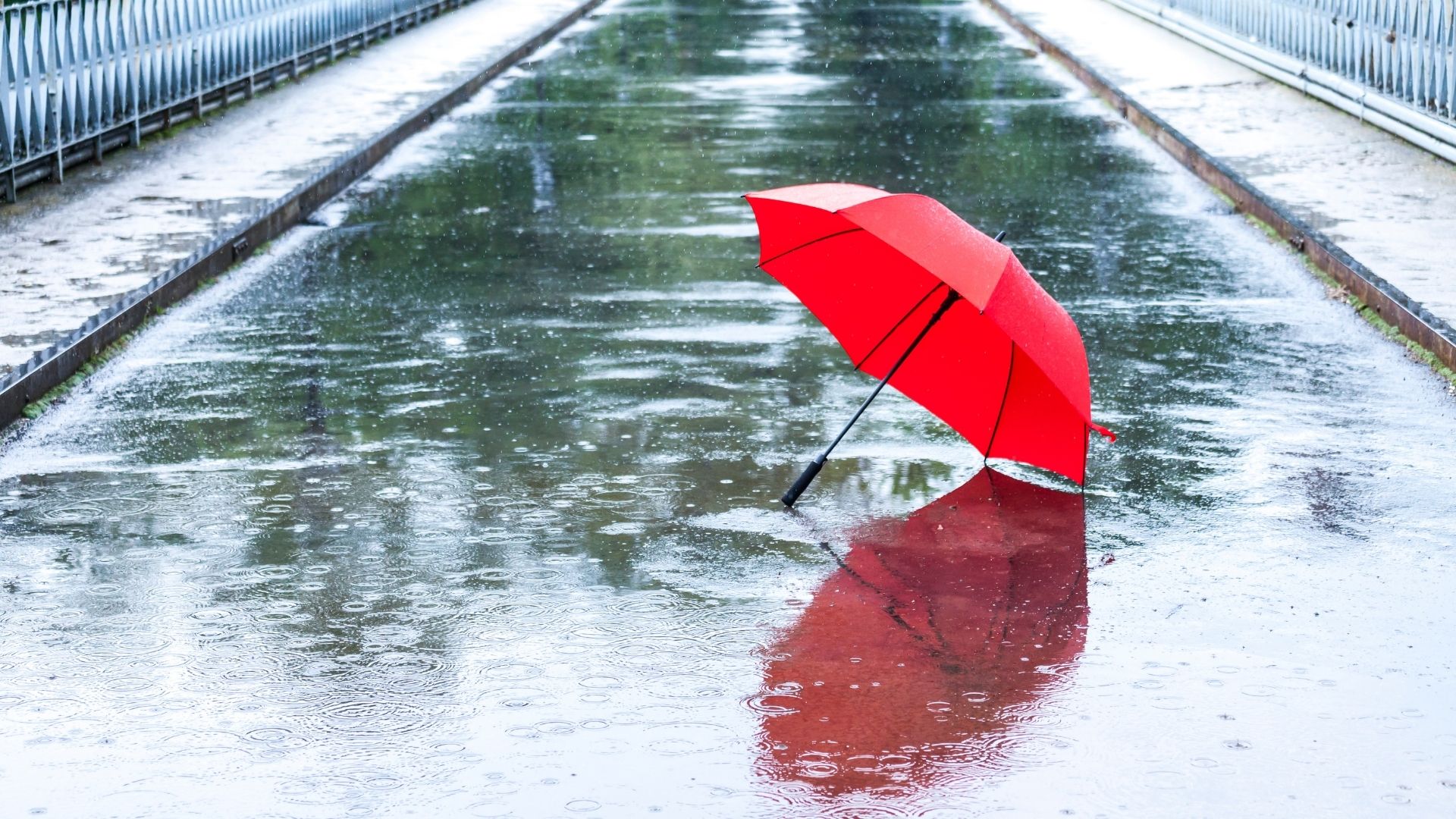 雨の日の傘は赤 Lili